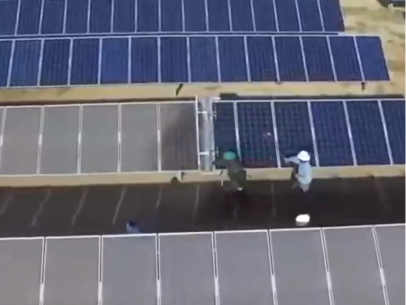 Solarpanelreinigung.png