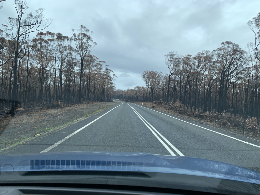 Princess Highway bei Wingan River, Victoria