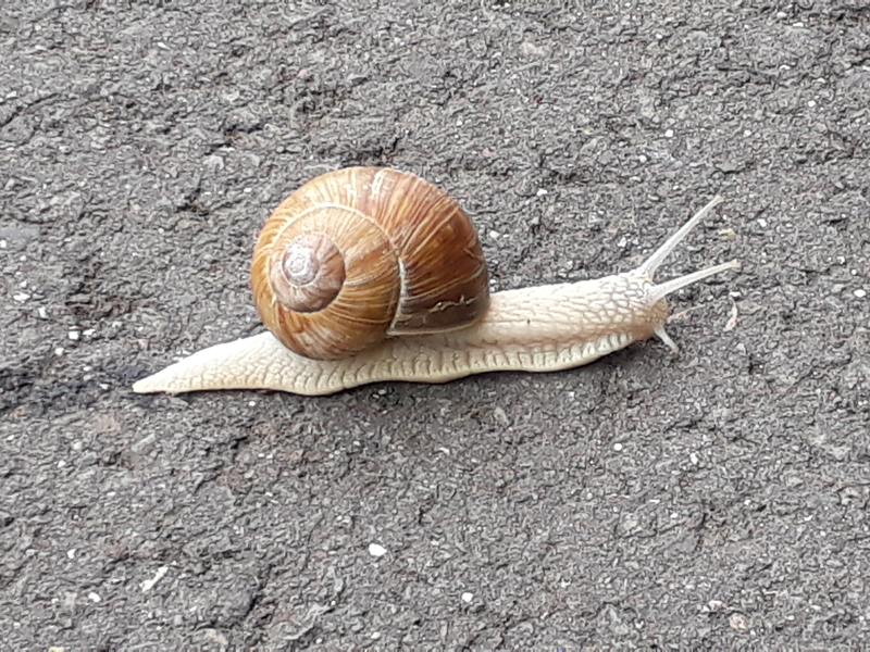 Energiewenden brauchen Zeit