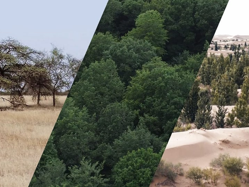 SRF: Bedrohung muss sein. Könnt ihr es nicht lassen? Bitte!