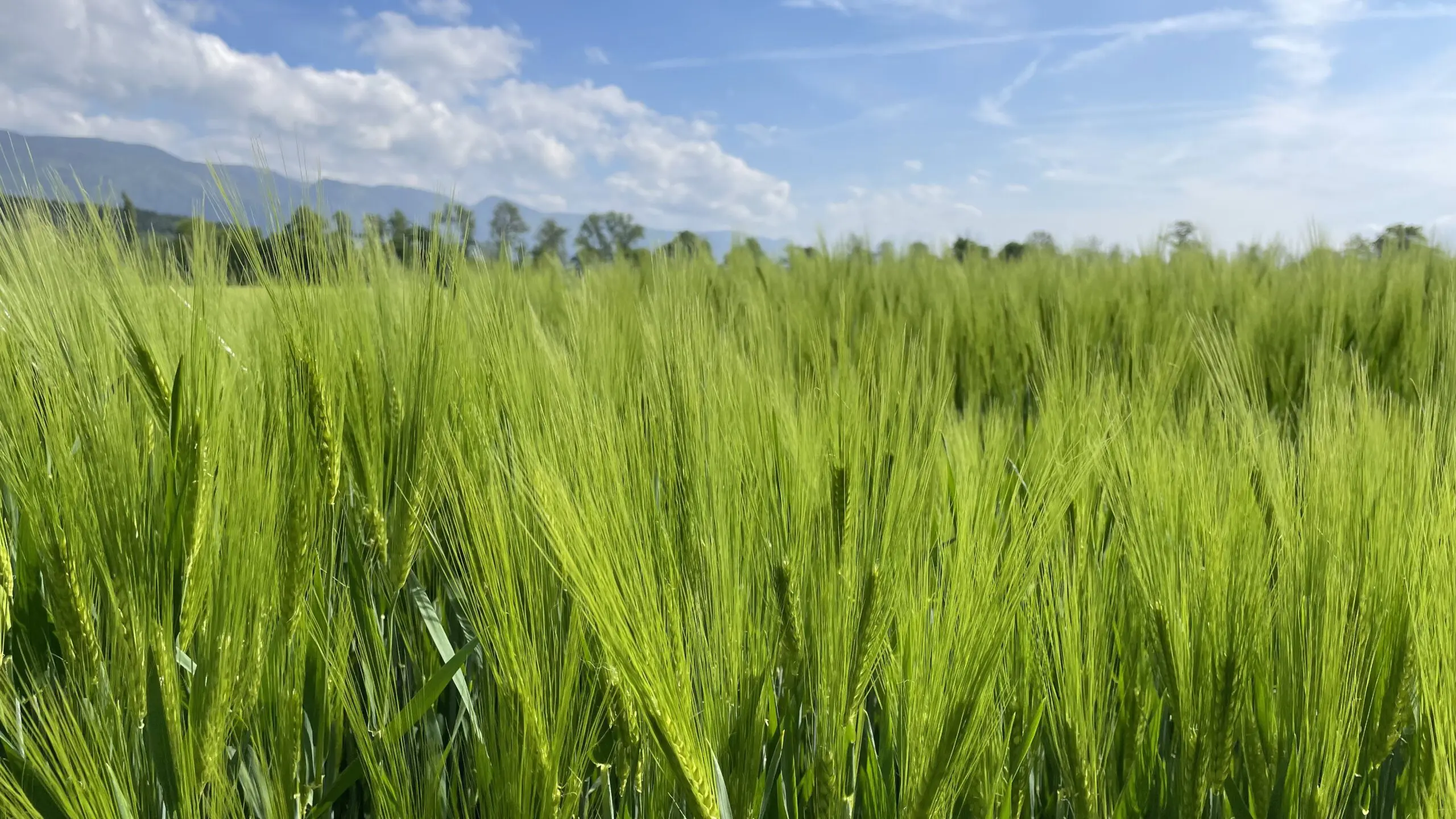 44 Jahre Klima-Geschichte